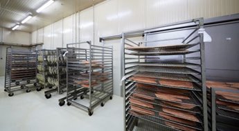 Fish Processing